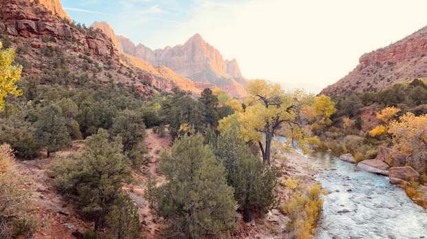 river flowing in Zion National Park in Utah