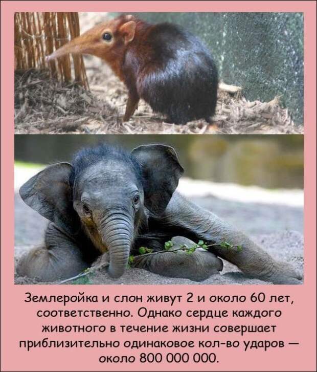 Интересные факты (20 фото)