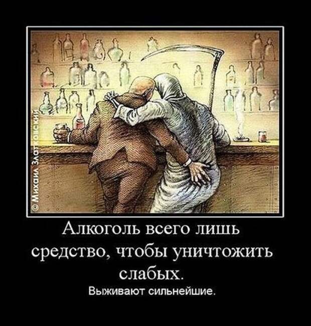 Демотиваторы (30 фото)