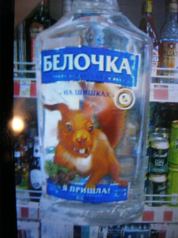 не пей водку-белочкой станешь!! - РЖАКА - 5 января - 43328801492 ...