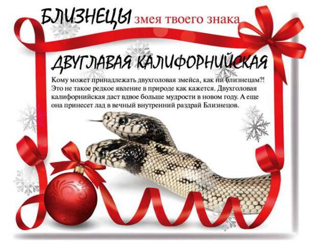 Какой змеей будешь ты в 2013 году (13 фото) Какой змеей будешь ты в 2013 году (13 фото)