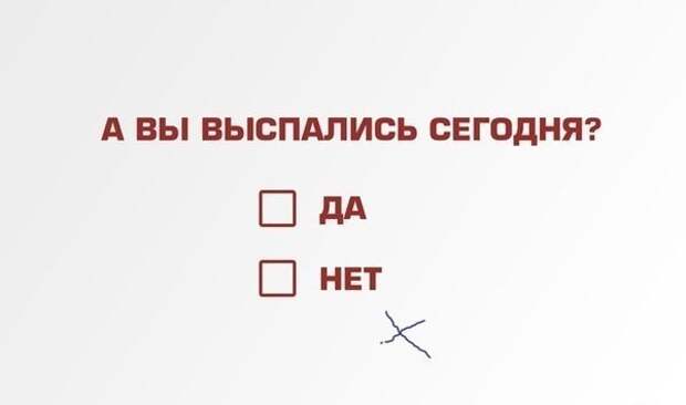 Приколы