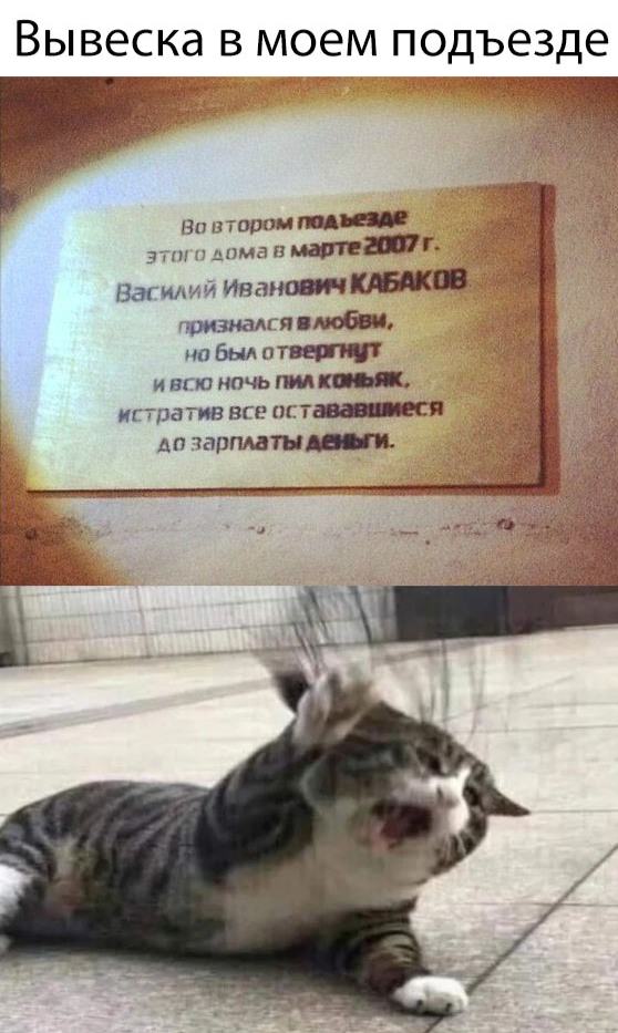 Мемы и картинки