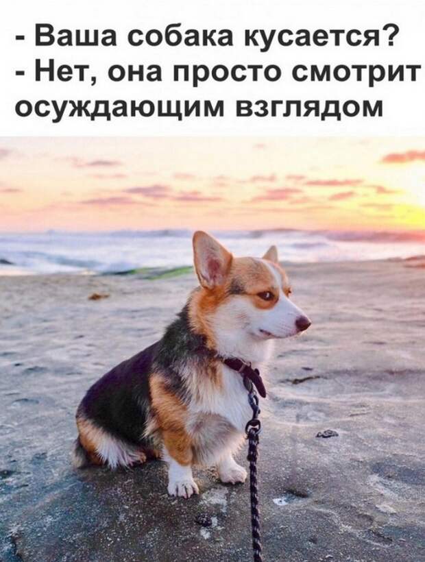 19 случайных смешных фото для хорошего настроения