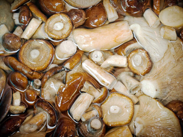 Соленые грибы