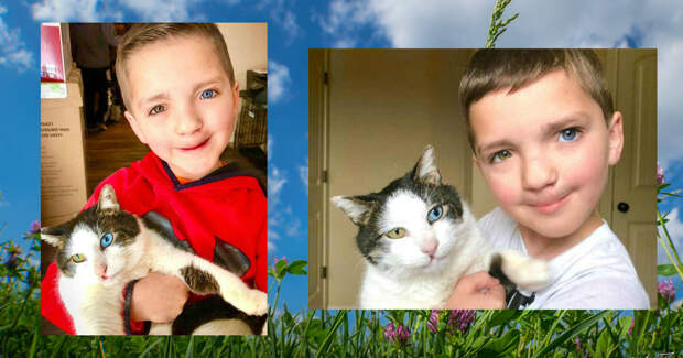 FotorCreated