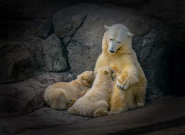 Gr0zzaR / nat-geo.ru