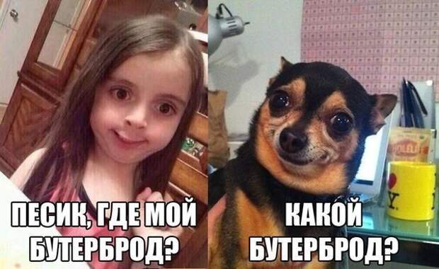 JeehGU3HOWo