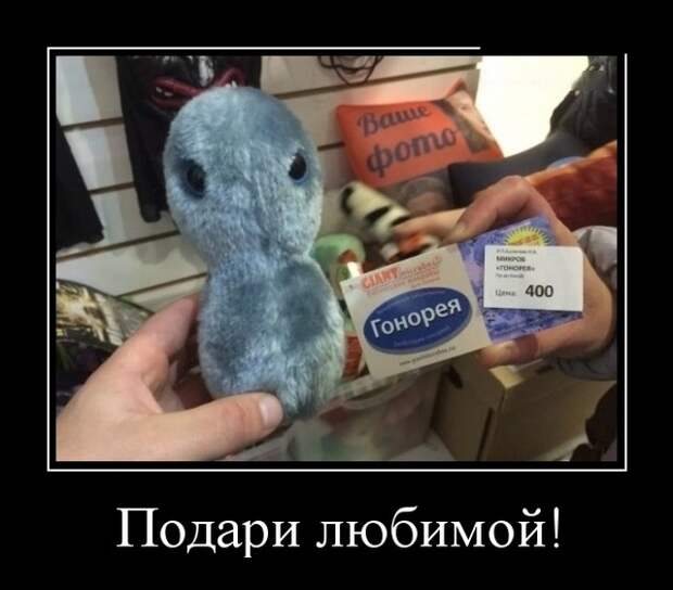 Демотиваторы