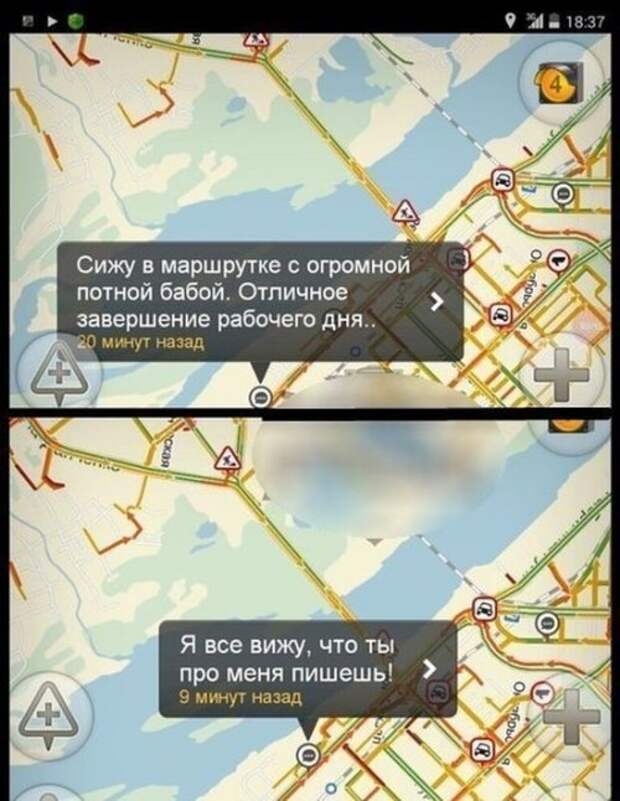 Прикольные картинки (41 шт)