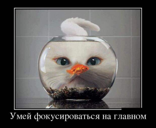 Демотиваторы (30 фото) Демотиваторы (30 фото)