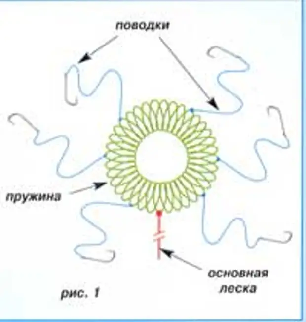 карповая пружина