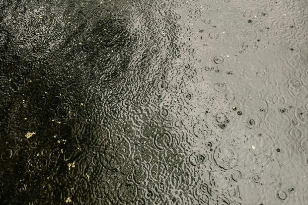 Москвичей предупредили о ливнях и похолодании на неделе с 18 августа