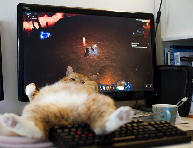 Игровой юмор игра, прикол, юмор