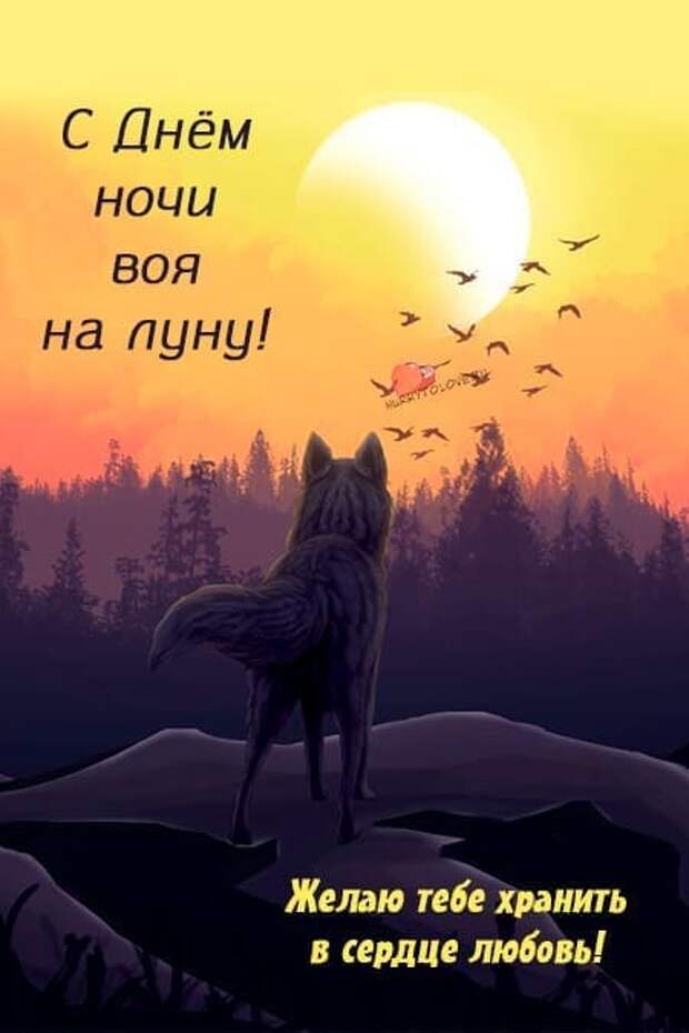 Веселые открытки в День и ночь воя на луну, 26 октября