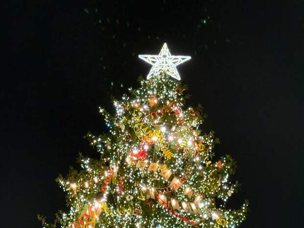 Врач назвала безопасное количество шампанского в новогоднюю ночь