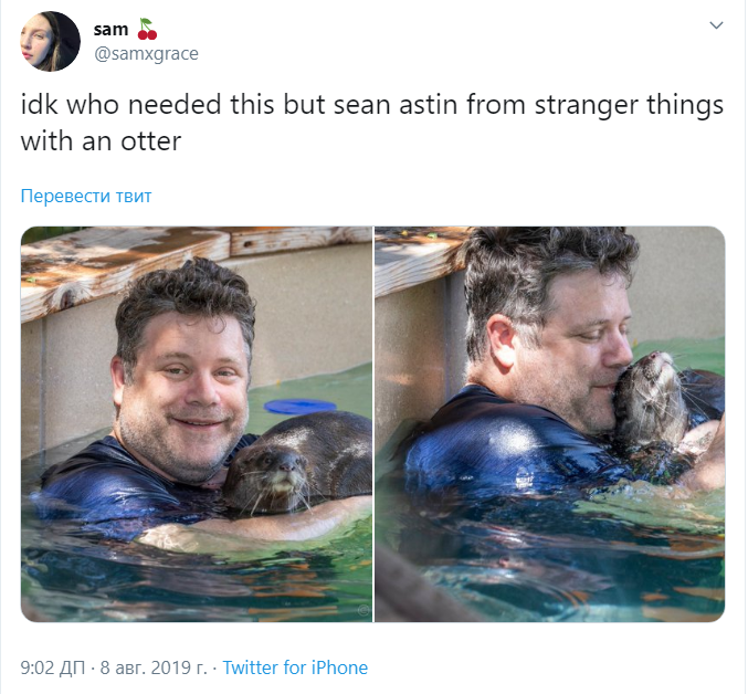 Шон Эстин