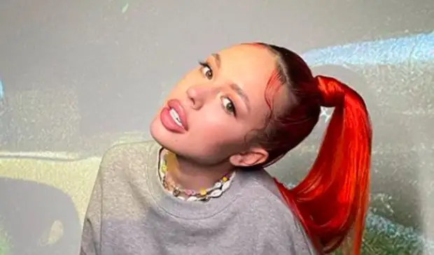 Милонов предложил Инстасамке поработать дояркой