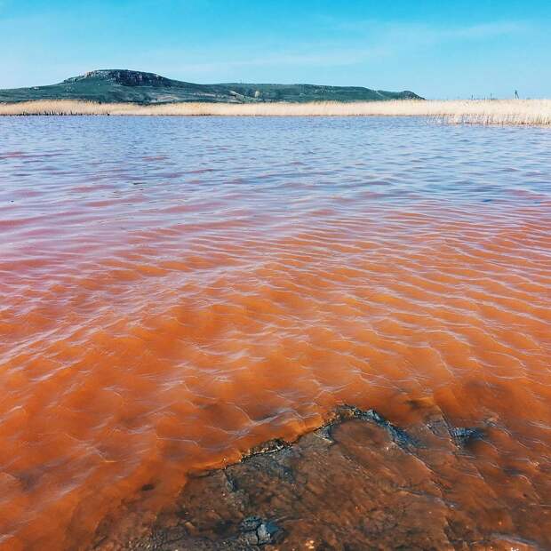 8 завораживающих фото розового Чокракского озера, которое находится в Крыму