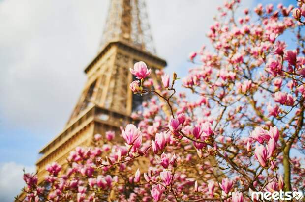 Paris, France Paris in spring