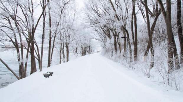 Врач назвал допустимую безопасную дозу алкоголя для согрева
