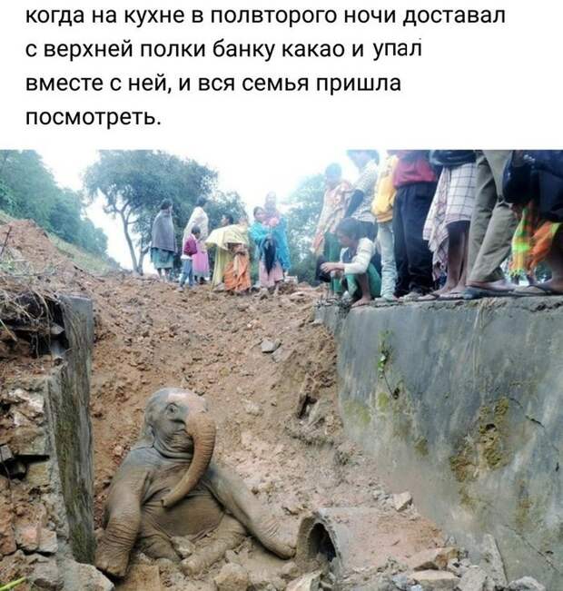 Подборка картинок. Вечерний выпуск (31 фото)