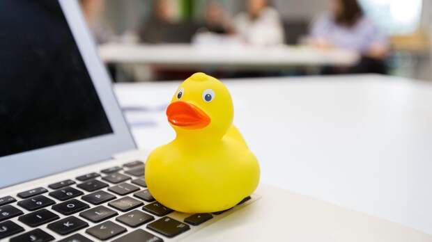 Метод утенка: зачем люди разговаривают с резиновыми уточками и другими неодушевленными предметами
