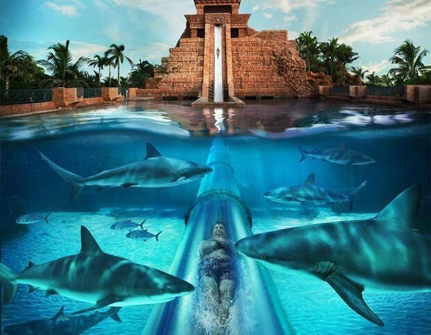 Мокрый экстрим парка  Aquaventure