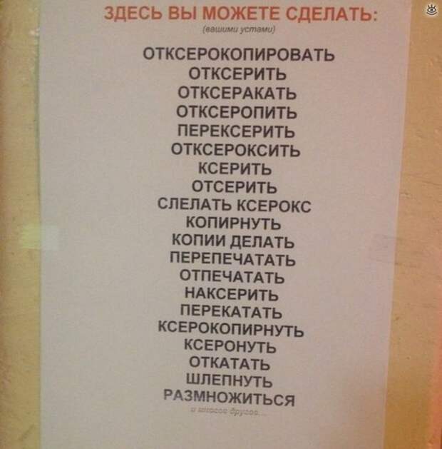 Фотосмешнявки 17