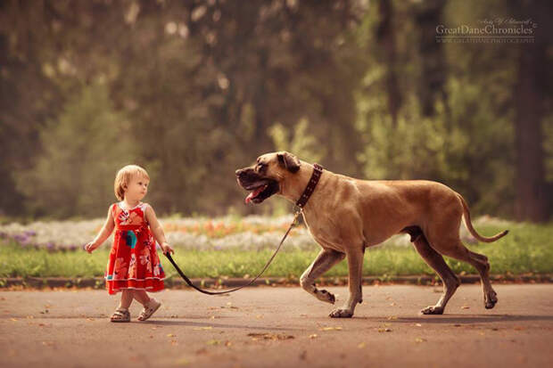 Не бойся, я с тобой.. Фото: Andy Seliverstoff. Не бойся, я с тобой.. Фото: Andy Seliverstoff.