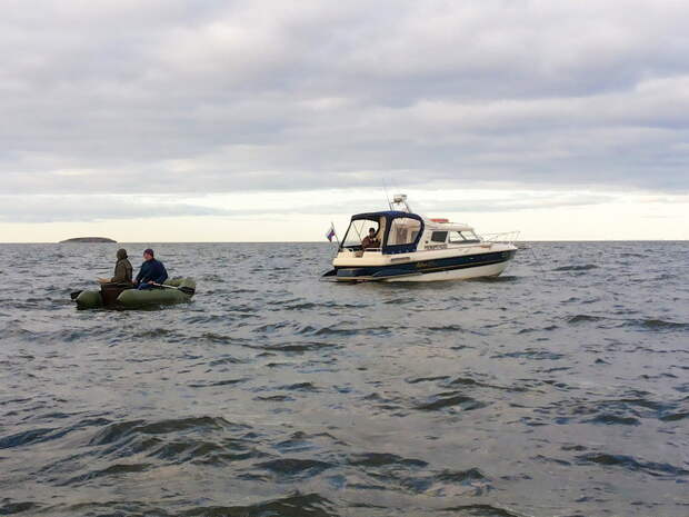 В Белом море спасены трое рыбаков, которые провели 10 дней на необитаемом острове белое море, рыбаки, север, шторм