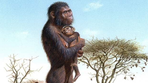 Ближневосточный предок всех человекообразных обезьян найден в Египте