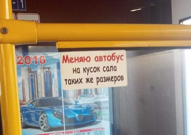 Прикольные картинки Прикольные картинки