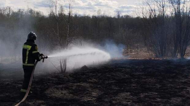 Губернатор Подмосковья напомнил о штрафах за нарушение противопожарного режима в лесах