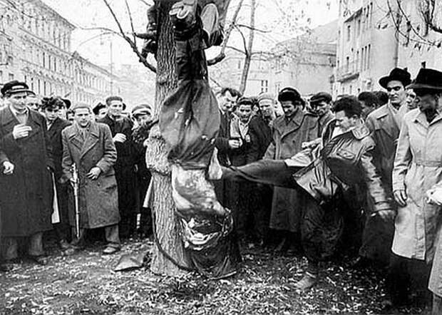 Венгрия, 1956 г., убийства коммунистов, полицейских, сотрудников госбезопасности|Фото: 