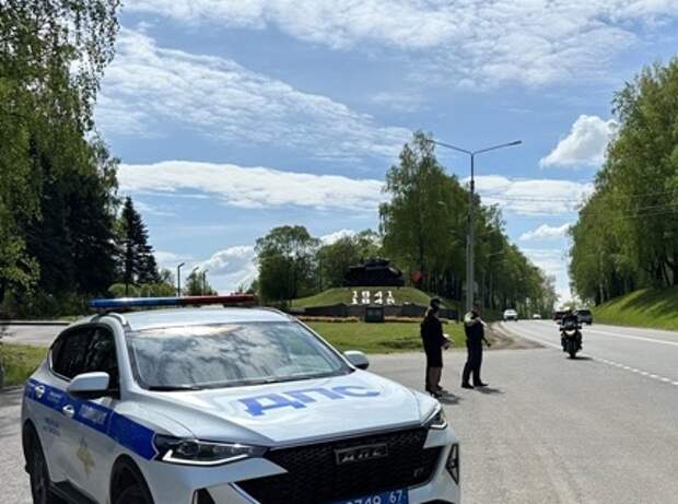 В Смоленске проходят сплошные проверки в одном из районов города