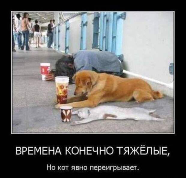 Свежая порция демотиваторов (16 шт)