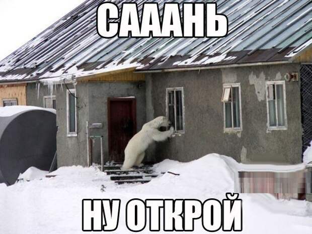 Новогодние приколы
