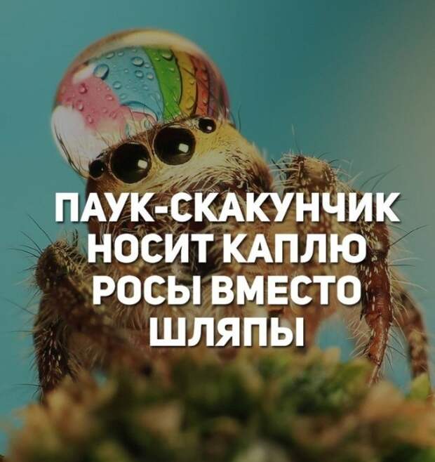 www.vsyako.net