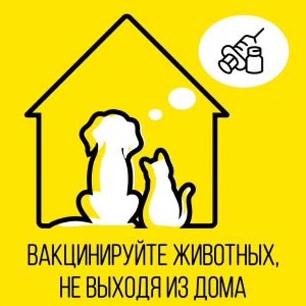 Москвичей призвали вакцинировать своего питомца на дому