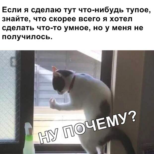 Подборка картинок (20 фото)