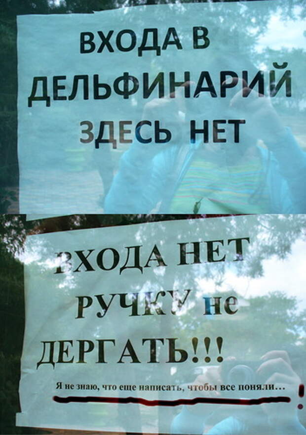 нууу, тупыыые!)