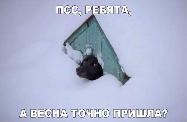 Свежие картинки с надписями для поднятия настроения (11 фото)