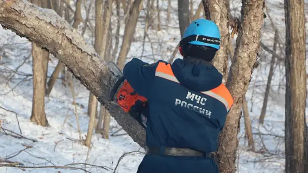 В Приморье планируют завершить ликвидацию последствий циклона в 2021 году