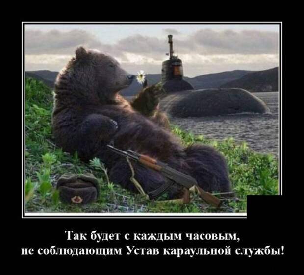 Демотиватор про медведя