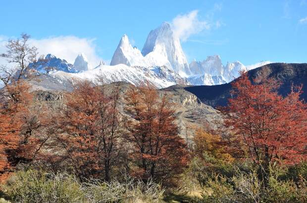 Patagonia09 Patagonia09 Патагония: Прогулка к горе Фицрой