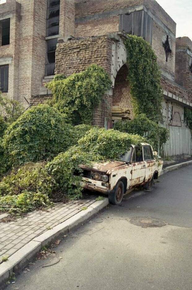 Конец Конец возмездие, кара, парковка, прикол, юмор