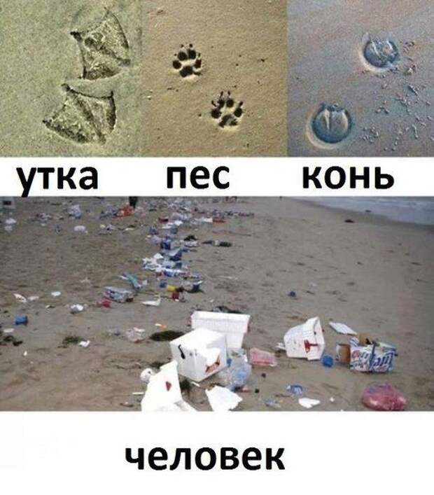 1449867843_kartinki-18