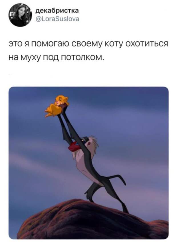 Подборка картинок. Дневной выпуск (30 фото)