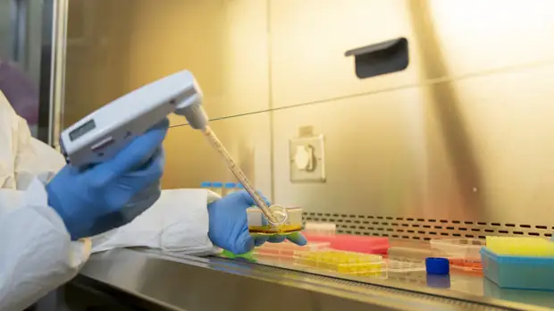 В Кемеровской области зарегистрировали 280 случаев COVID-19 за сутки